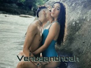 Venusandnoah