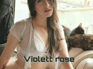 Violett_rose