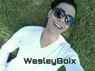 Wesley_Boix