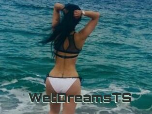 WetDreamsTS