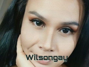 Wilsongay