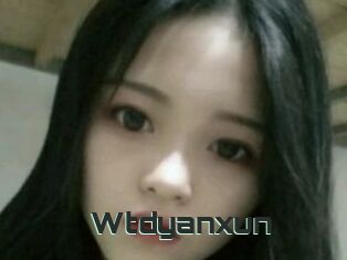 Wtdyanxun