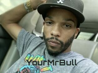 YourMrBull