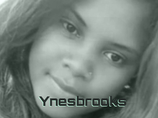 Ynesbrooks