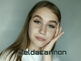 Zeldacannon