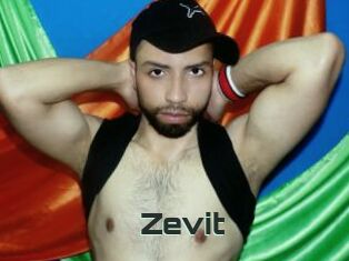 Zevit